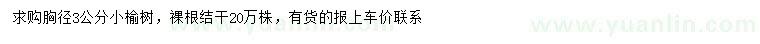 求購胸徑3公分小榆樹