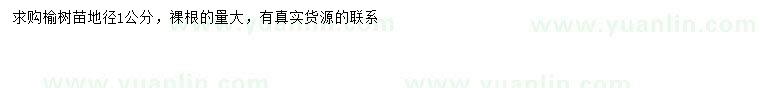 求購地徑1公分榆樹