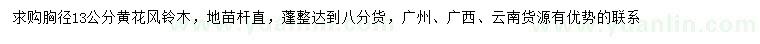 求購胸徑13公分黃花風(fēng)鈴木