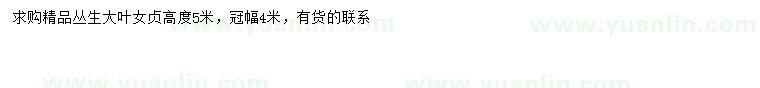 求購冠幅4米叢生大葉女貞