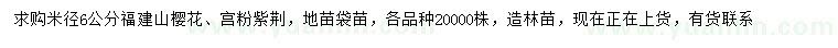 求購米徑6公分福建山櫻花、宮粉紫荊