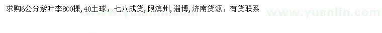 求購6公分紫葉李