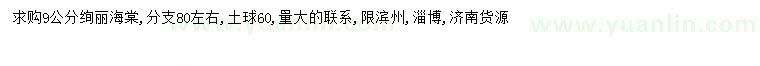 求購9公分絢麗海棠