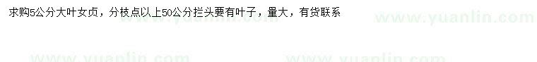 求購(gòu)5公分大葉女貞