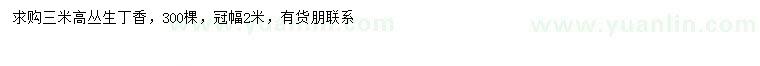 求購冠幅2米叢生丁香