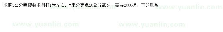 求購(gòu)5公分櫻花
