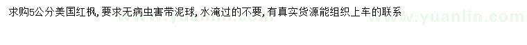 求購5公分美國紅楓