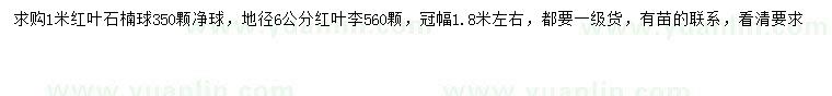 求購1米紅葉石楠球、地徑6公分紅葉李