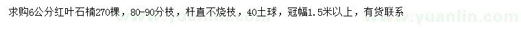 求購(gòu)6公分紅葉石楠