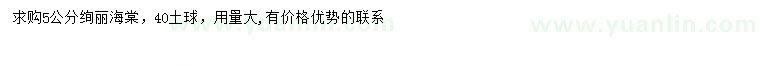 求購5公分絢麗海棠