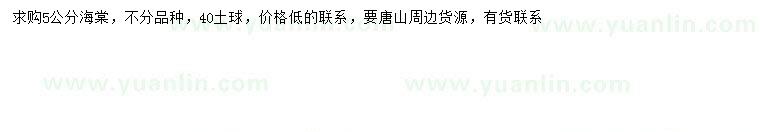 求購5公分海棠