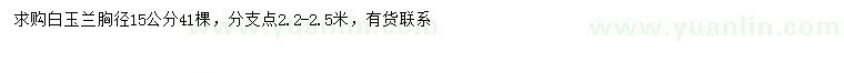 求購胸徑15公分白玉蘭