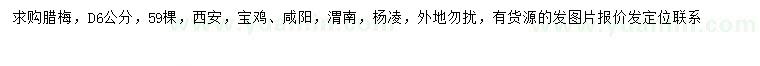 求購地徑6公分臘梅