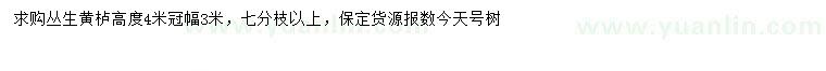 求購冠幅3米叢生黃櫨