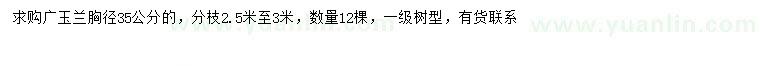 求購胸徑35公分廣玉蘭