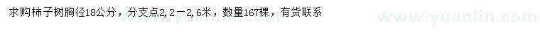 求購(gòu)胸徑18公分柿子樹(shù)