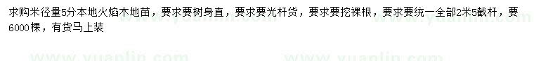 求購米徑5公分火焰木