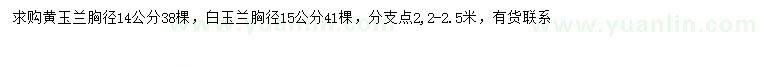 求購(gòu)胸徑14公分黃玉蘭、胸徑15公分白玉蘭