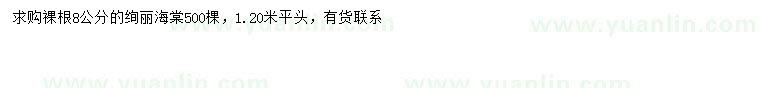 求購(gòu)8公分絢麗海棠