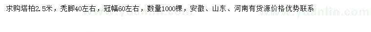 求購(gòu)2.5米塔柏
