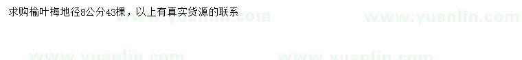 求購地徑8公分榆葉梅