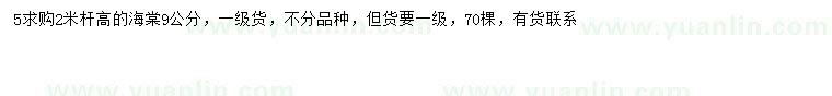 求購9公分海棠