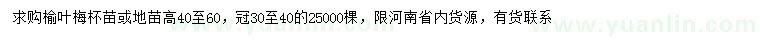 求購高40-60公分榆葉梅