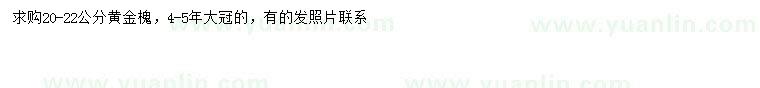求購20-22公分黃金槐