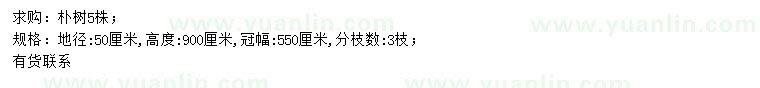 求購(gòu)地徑50公分樸樹