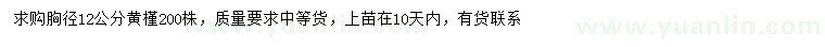 求購胸徑12公分黃槿
