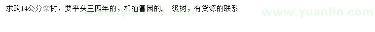 求購(gòu)14公分欒樹