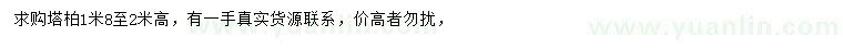 求購高1.8-2米塔柏
