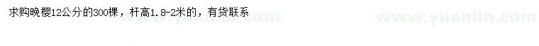 求購(gòu)12公分晚櫻