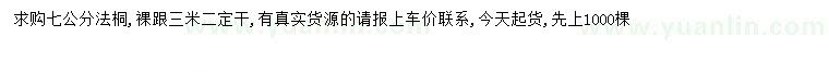 求購7公分法桐
