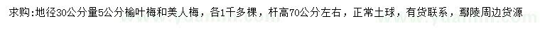 求購30量5公分榆葉梅、美人梅