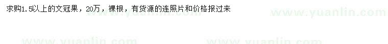 求購1.5公分以上文冠果