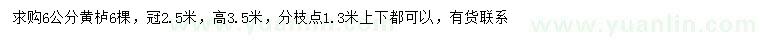 求購6公分黃櫨