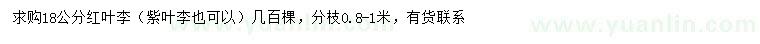 求購18公分紅葉李、紫葉李