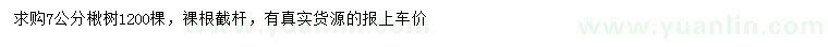 求購(gòu)7公分楸樹(shù)
