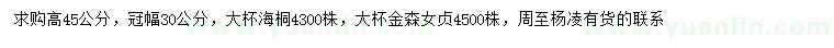求購(gòu)高45公分海桐、金森女貞
