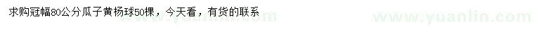 求購(gòu)冠幅80公分瓜子黃楊球