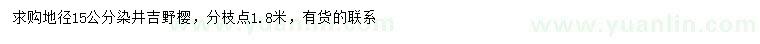 求購(gòu)地徑15公分染井吉野櫻