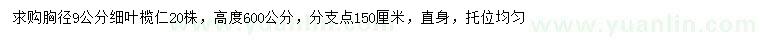 求購(gòu)胸徑9公分細(xì)葉欖仁