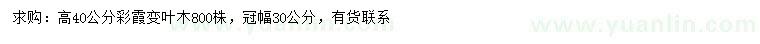 求購高40公分彩霞變?nèi)~木