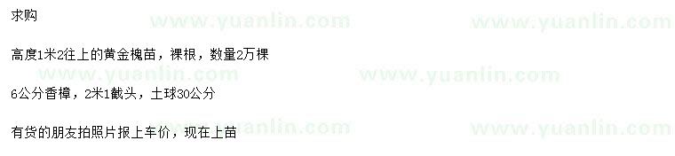 求購(gòu)高1.2米以上黃金槐、6公分香樟