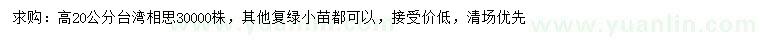 求購高20公分臺灣相思