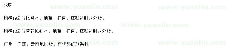 求購胸徑19公分鳳凰木、胸徑13公分黃花風(fēng)鈴木