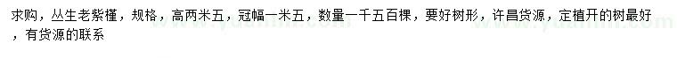 求購高2.5米叢生老紫槿