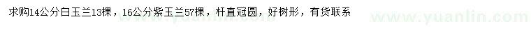 求購14公分白玉蘭、16公分紫玉蘭