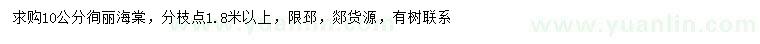 求購10公分徇麗海棠